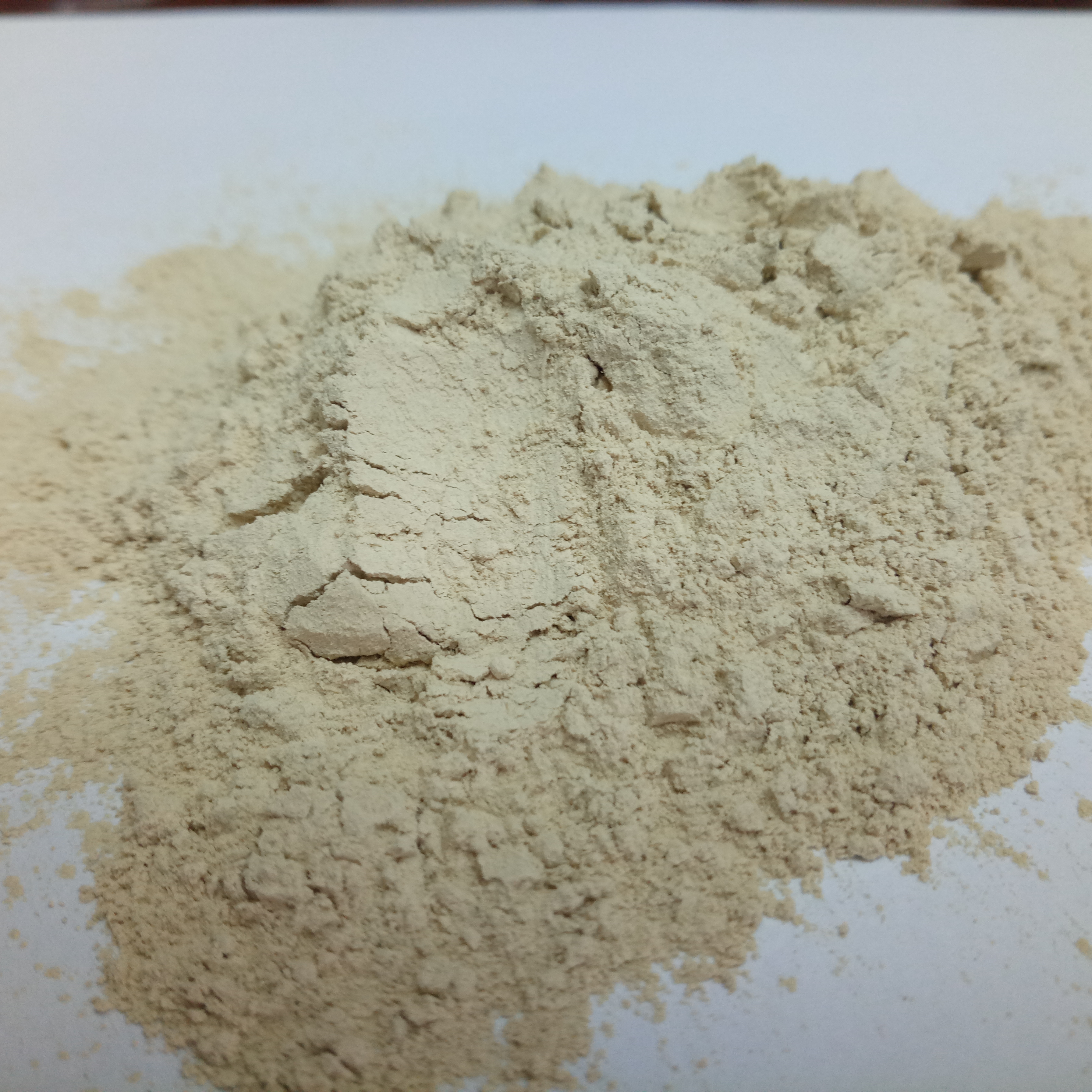 昆虫抗菌小肽蛋白粉