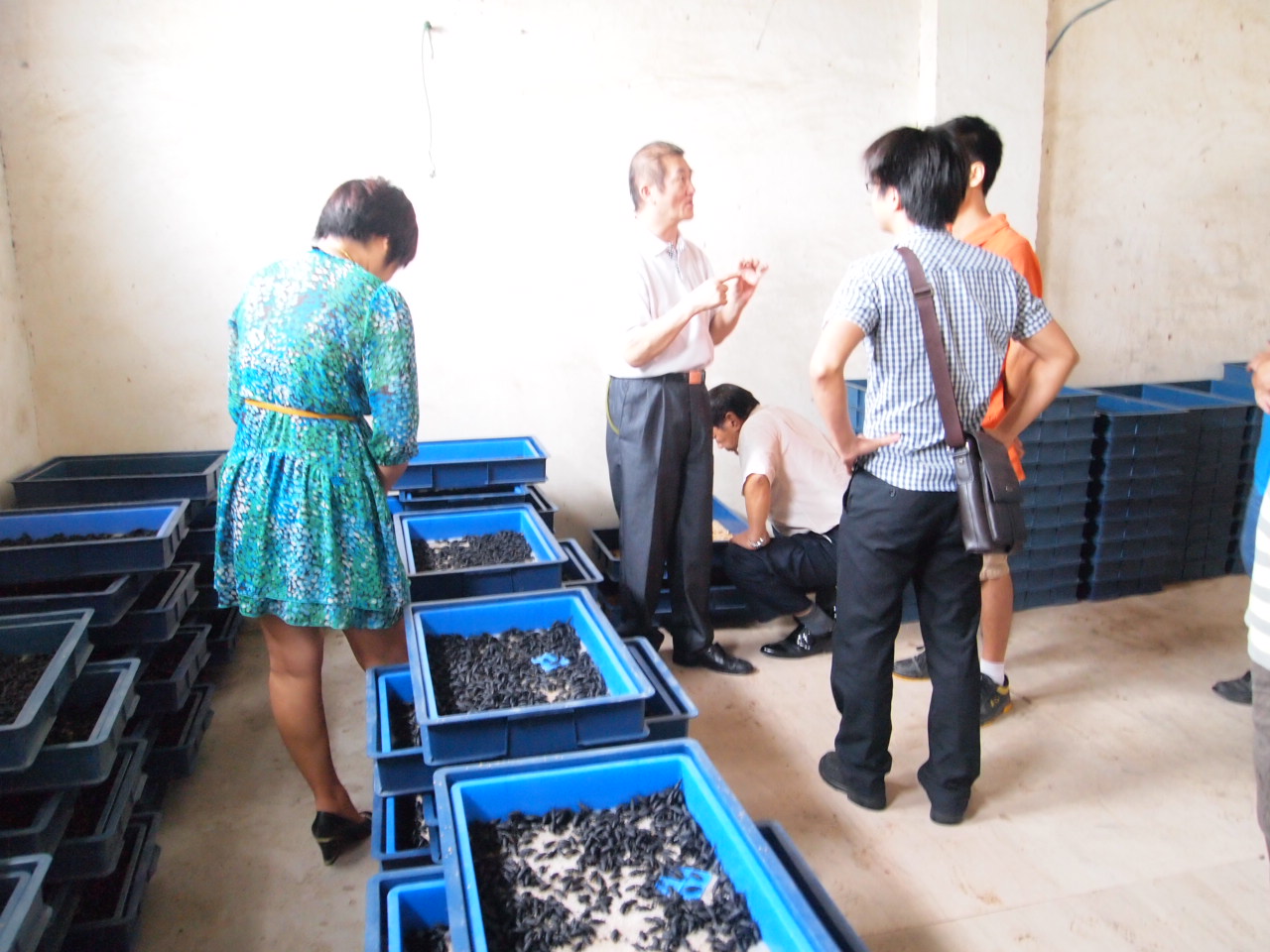 留美博士开发大麦虫SOD及昆虫蛋白粉(图1)